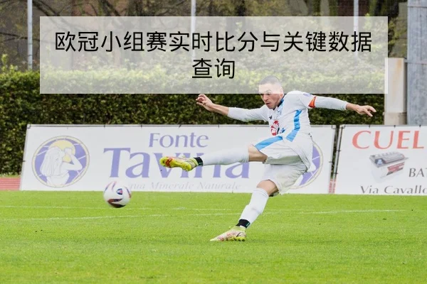 CBA球队伤病名单与复出时间表